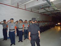 �껨����ѵչʾ